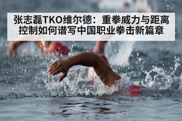 张志磊TKO维尔德：重拳威力与距离控制如何谱写中国职业拳击新篇章