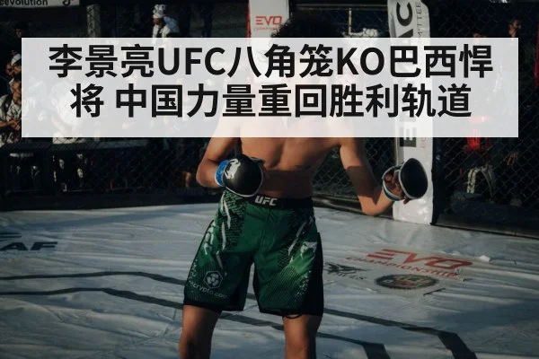 李景亮UFC八角笼KO巴西悍将 中国力量重回胜利轨道