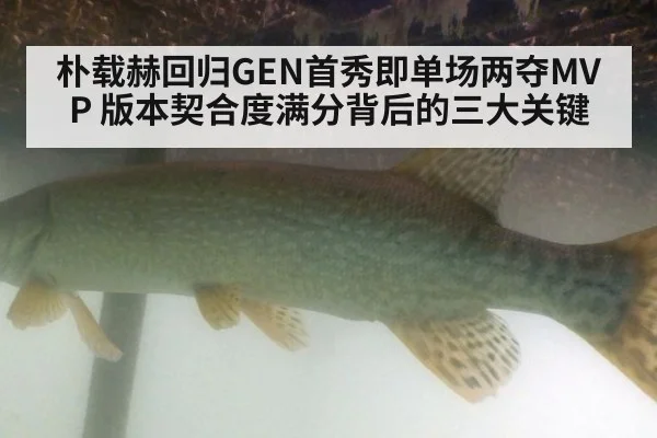 朴载赫回归GEN首秀即单场两夺MVP 版本契合度满分背后的三大关键